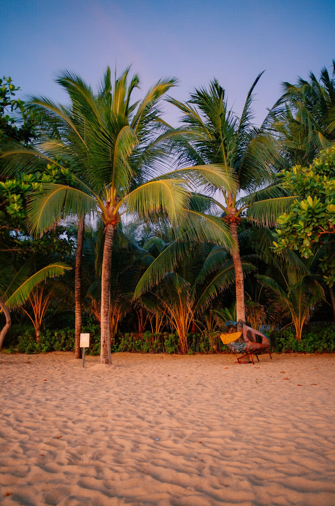 tropical beach thailand