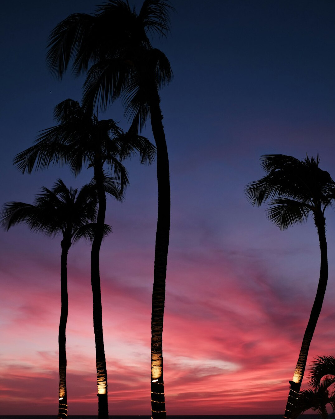 caribbean sunset beach