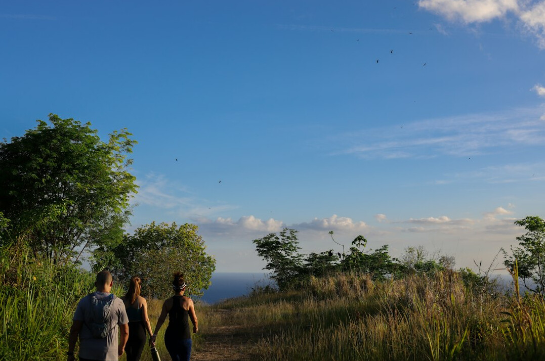 caribbean hiking trail